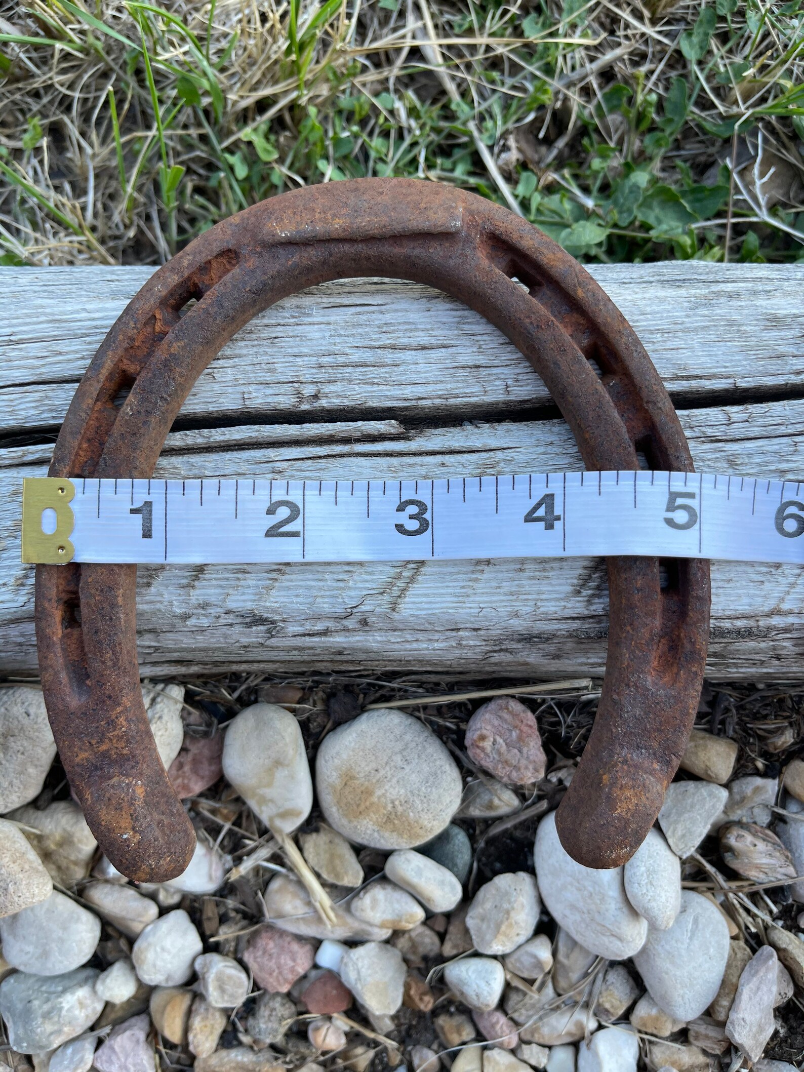 Lucky Horseshoes Etsy