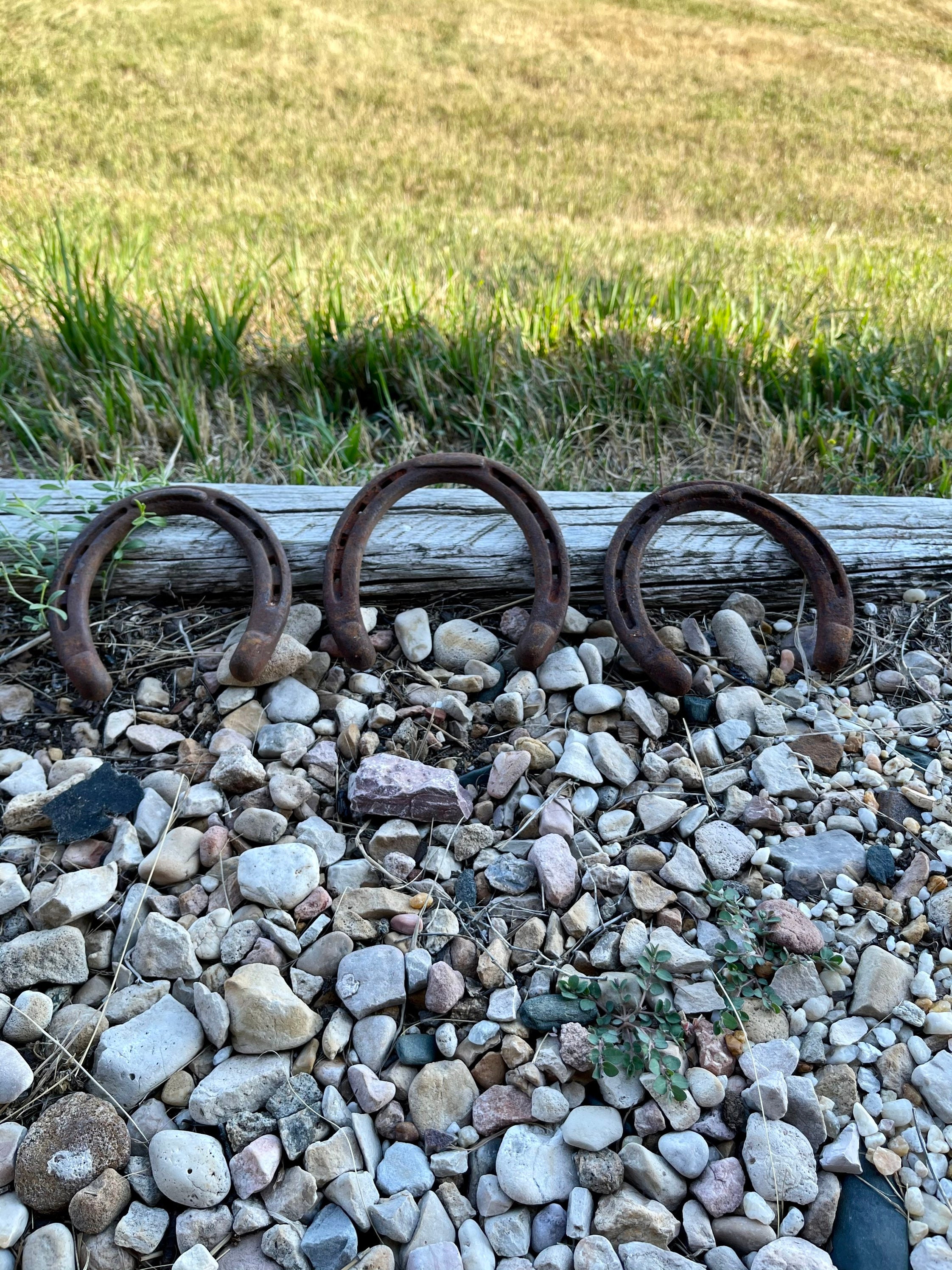 Lucky Horseshoes Etsy