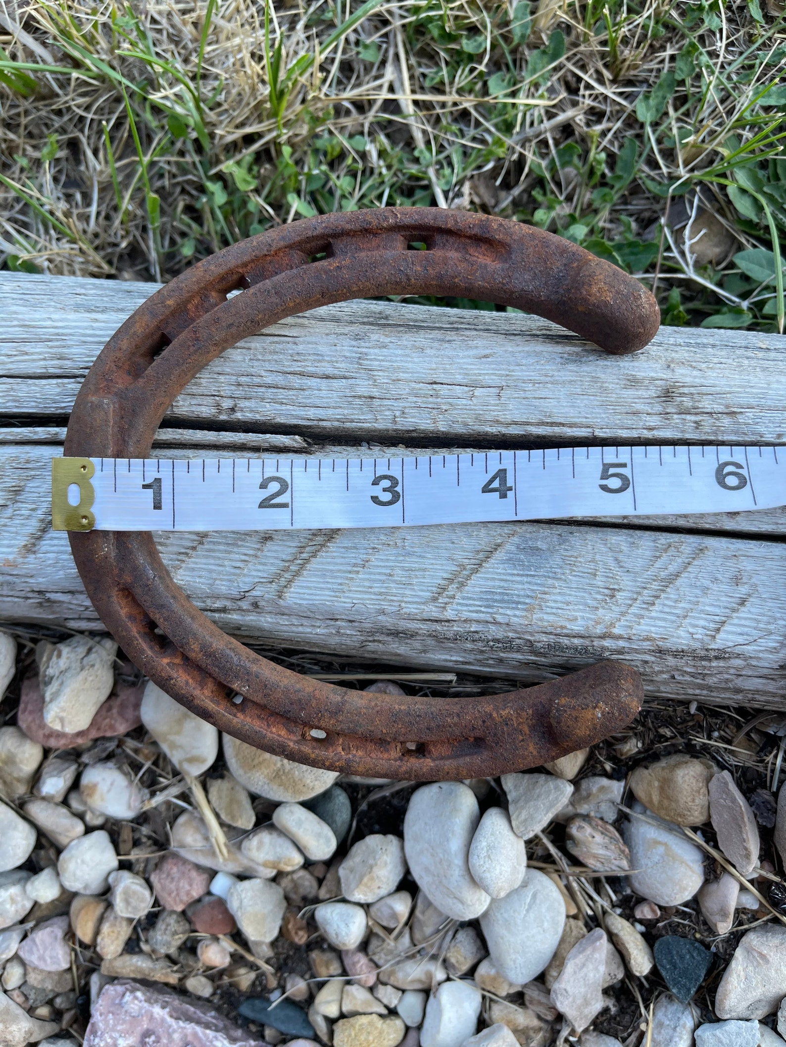 Lucky Horseshoes Etsy