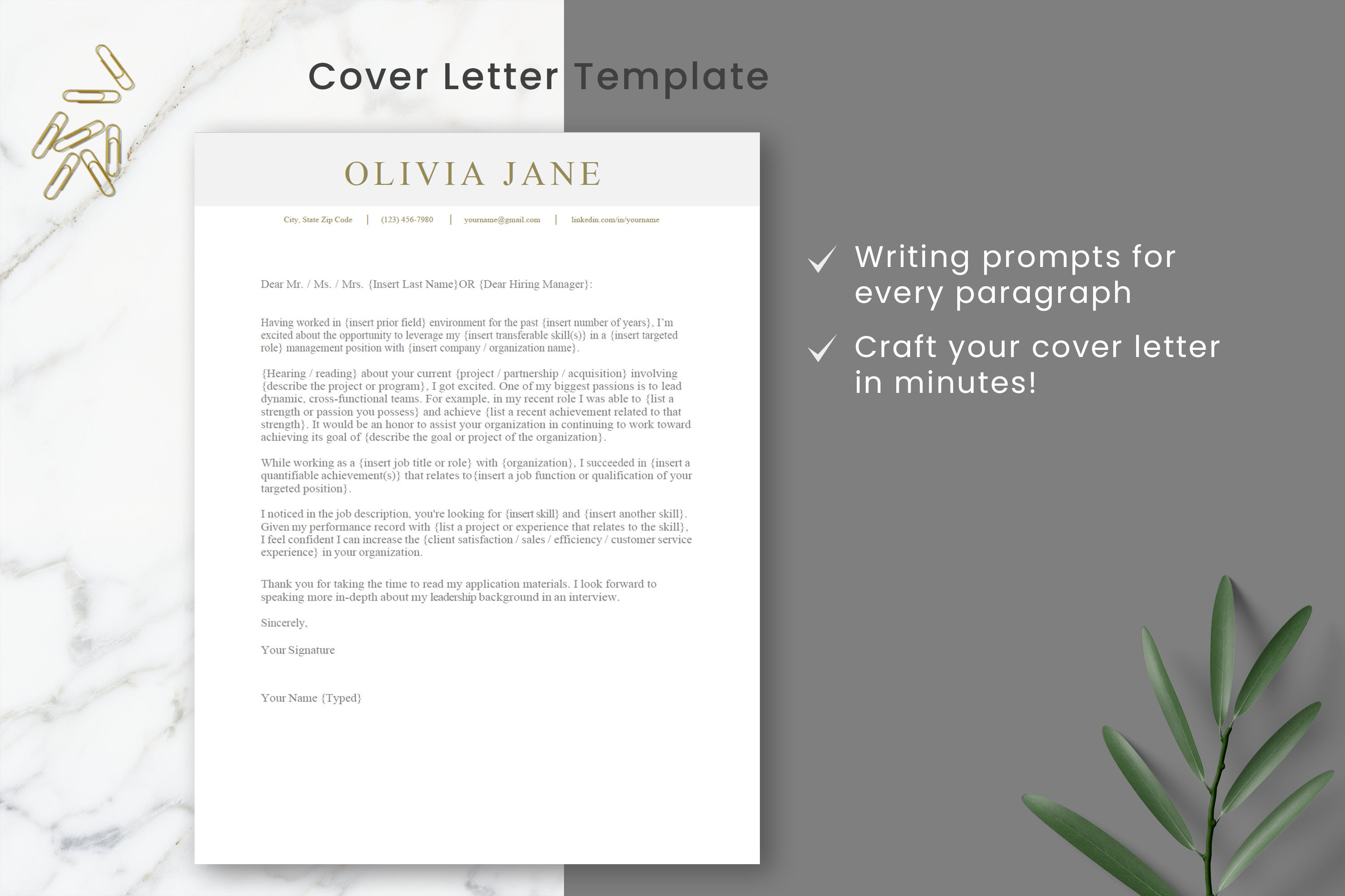 Functional Resume Template Management Resume ATS Resume Template Career 