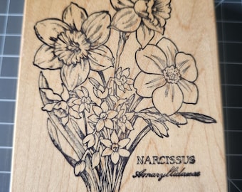 Sello de goma vintage PSX Narcissus K-1282 Botánico Floral Narciso Montaje en Madera Manualidades de Jardín