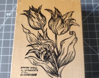 Sello de goma botánico vintage de tulipán PSX – Tulipa Liliaceae (material para hacer tarjetas)