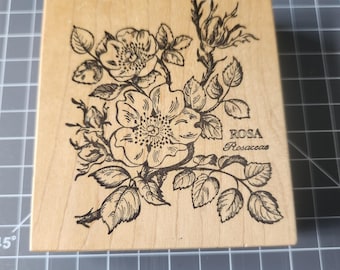 Sello de goma vintage raro para PSX Rosa K-038 con montura de madera y diseño botánico de rosa.