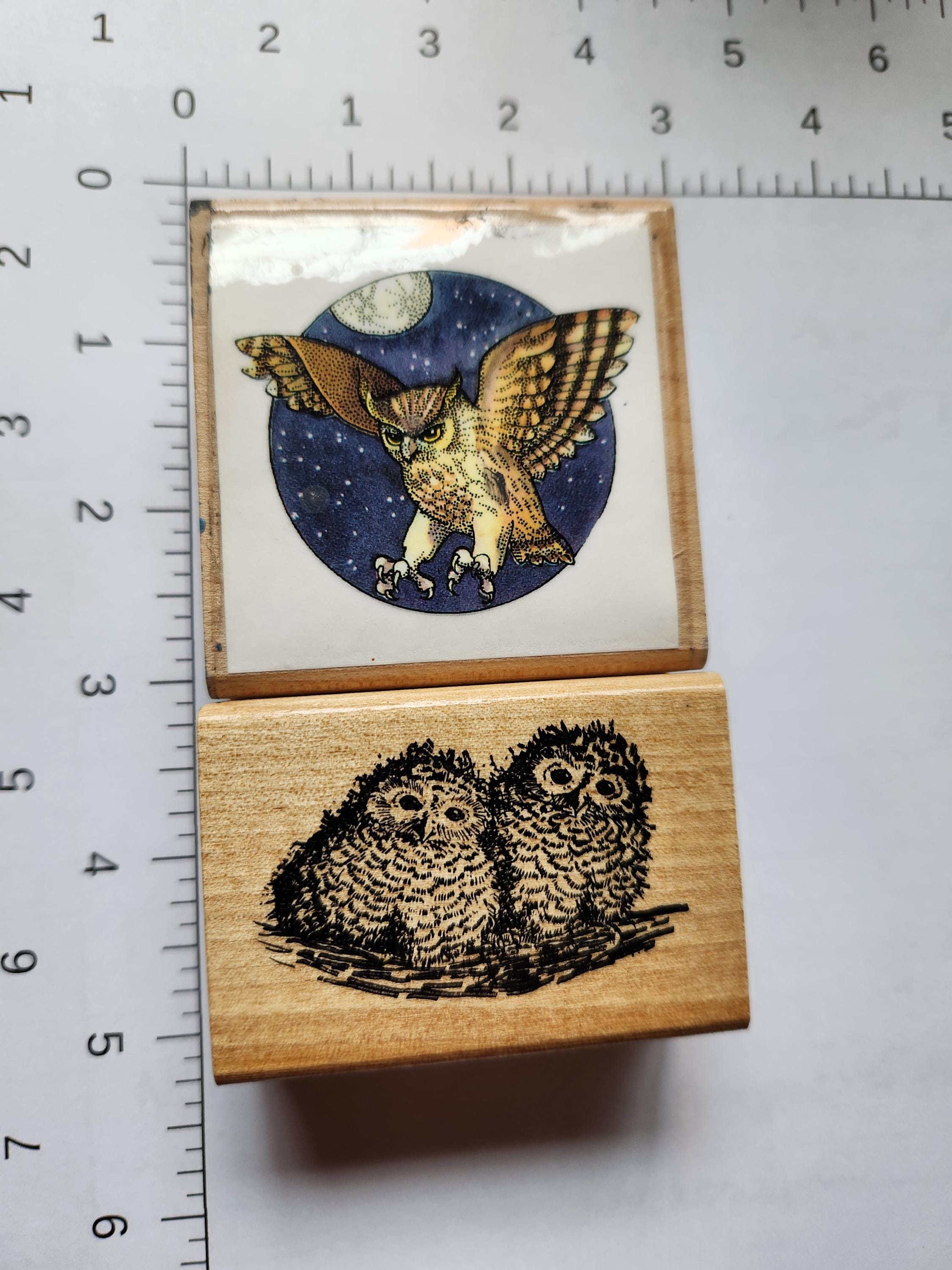 Hoot Suite. 2 vintage Owl Themed rubber stamps. One by Ampersand Press and one by 5 Star Stamps.