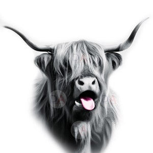 Highland Kuh Tongue Out Print: Rustikale Bauernhaus Dekoration (Digitaler Download)