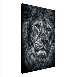 Lion Canvas Print: Black and White Photography, Michael Paul Bennett Art