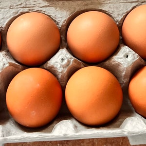 1 doz Farm Fresh | Free-range eggs - Organic laid by Happy & Healthy Hens - Fresh eggs unwashed