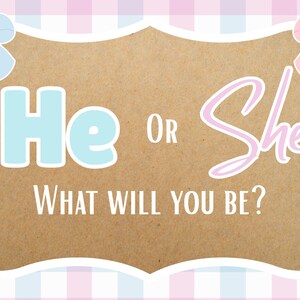 May include: A gender reveal announcement with a brown background and a white decorative border. The text "He or She, What Will You Be?" is displayed. Blue and pink bows are at the top corners, with a checkered pink and blue background.