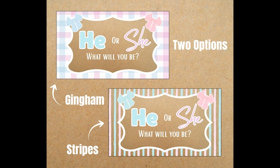 Baby Gender Reveal Hand Painted Paper Banner