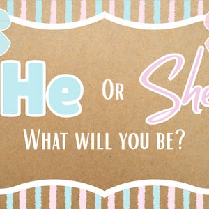May include: A gender reveal announcement with a brown background and a white decorative border. The text reads "He or She, What Will You Be?" in blue and pink lettering. Blue and pink bows are in the corners.