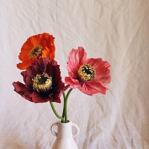 Trio di papaveri / papavero di carta crespa / papaveri di carta / fiori fatti a mano / papaveri di carta dall'aspetto realistico / papavero realistico / fiore di papavero