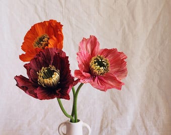 Handmade Crepe Paper Poppy Trio: Realistic Floral Decor