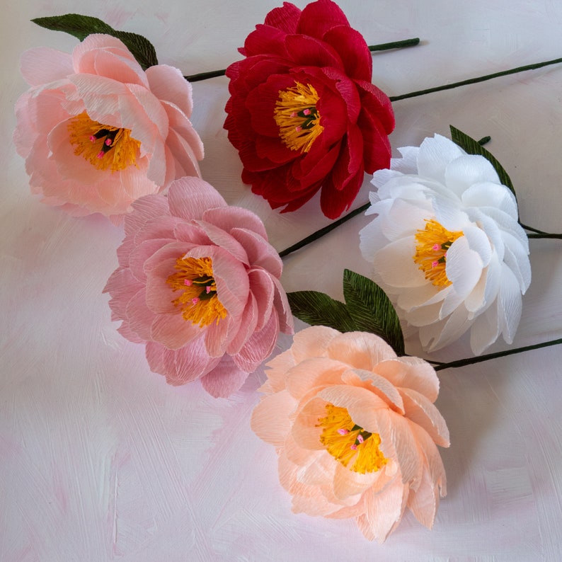 5 handmade paper peonies are lying on the textured background. Red, white, peach, dusty pink and pink, very vibrant and cheerful.