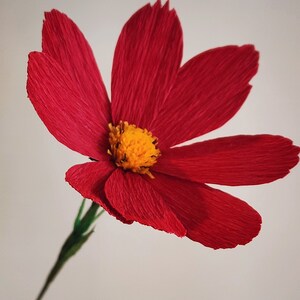 May include: A single red paper flower with a yellow center. The flower is made of crepe paper and has a delicate, ruffled texture.