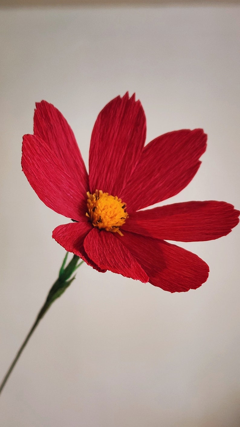 May include: A single red paper flower with a yellow center. The flower is made of crepe paper and has a delicate, ruffled texture.
