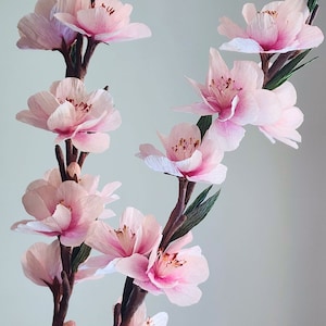 Fiori di ciliegio in carta crespa / fiori di carta crespa / fatti a mano / decorazioni per la casa / regalo floreale
