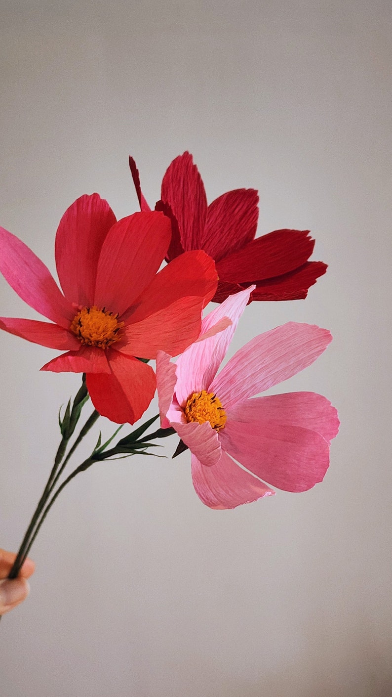 May include: Three paper flowers in shades of pink and red. The flowers are made of crinkled paper and have a delicate, feminine look.