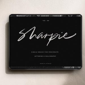 Pinceau Sharpie Procreate, marqueur à sec, lettrage iPad (téléchargement numérique)