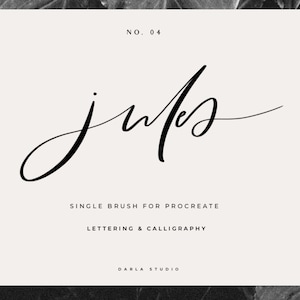 Jules Procreate Brush- Calligraphy Brush, Hand Lettering, Procreate Lettering Brush, Single Calligraphy Brush