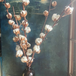 May include: A bouquet of dried cotton branches in a dark brown glass vase against a dark teal background.