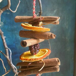 May include: A cinnamon stick ornament with dried orange slices, cinnamon sticks, and a dried plum hanging from a red and white twine.