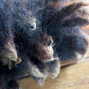 Raw Texel Wool Fleece by the pound | Black | felting | Spinning | Birds Nest Filling
