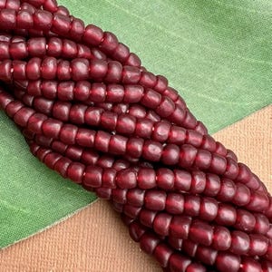 May include: Close-up of a bundle of dark red corn kernels. The kernels are tightly packed together, showcasing a rich, deep red color. The corn is resting on a green and tan surface, highlighting the vibrant color of the corn.