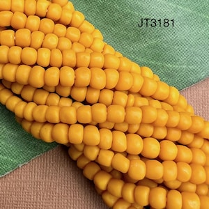 Pode incluir: Close-up de uma espiga de milho amarela vibrante, mostrando fileiras de grãos. A imagem é definida contra um fundo verde e bege, com o texto "JT3181" visível. O milho parece fresco e pronto para a colheita.