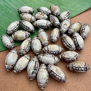 Conch Oval Beads set in Weiß Metal - 3 Beads