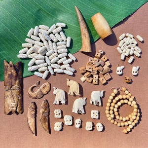Bolsa de sorpresas de hueso vintage - Cuentas y colgantes de hueso surtidos