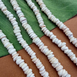 Cuentas de concha Puka - 7 mm a 9 mm