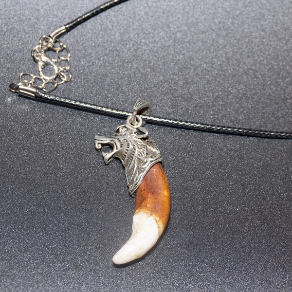 Necklace with wolf tooth pendant