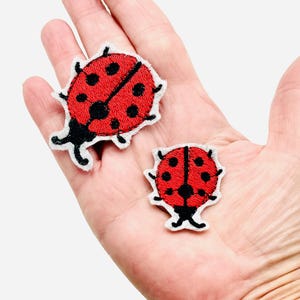 Könnte beinhalten: Zwei gestickte Marienkäfer-Aufnäher. Die Marienkäfer sind rot mit schwarzen Punkten und schwarzen Fühlern. Die Aufnäher haben einen weißen Rand. Ein Marienkäfer ist größer als der andere. Die Aufnäher befinden sich auf hellem Hintergrund.