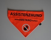 Collar banderole scarf for dogs (with desired lettering)