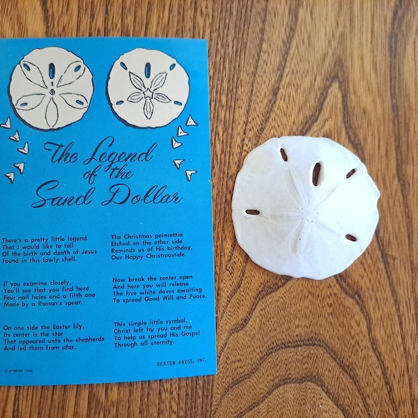 Sand Dollar Legend Etsy