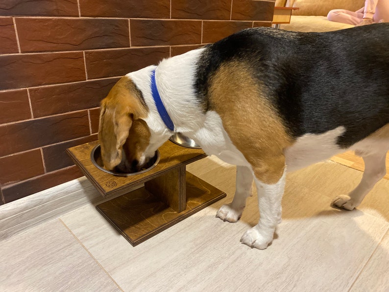 Tilted Dog Food Stand: Elevated Double Bowl Birch Plywood Feeder - Etsy