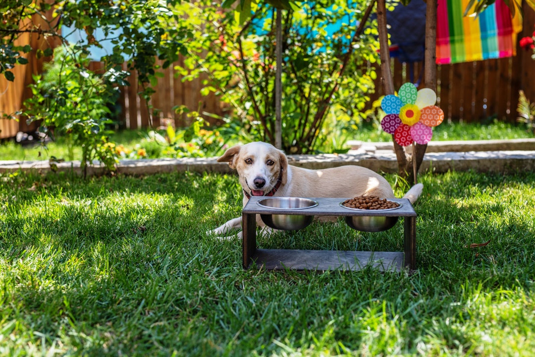 Medium Dog Feeding Station With 2 Bowls700ml Elevated Feeding Station