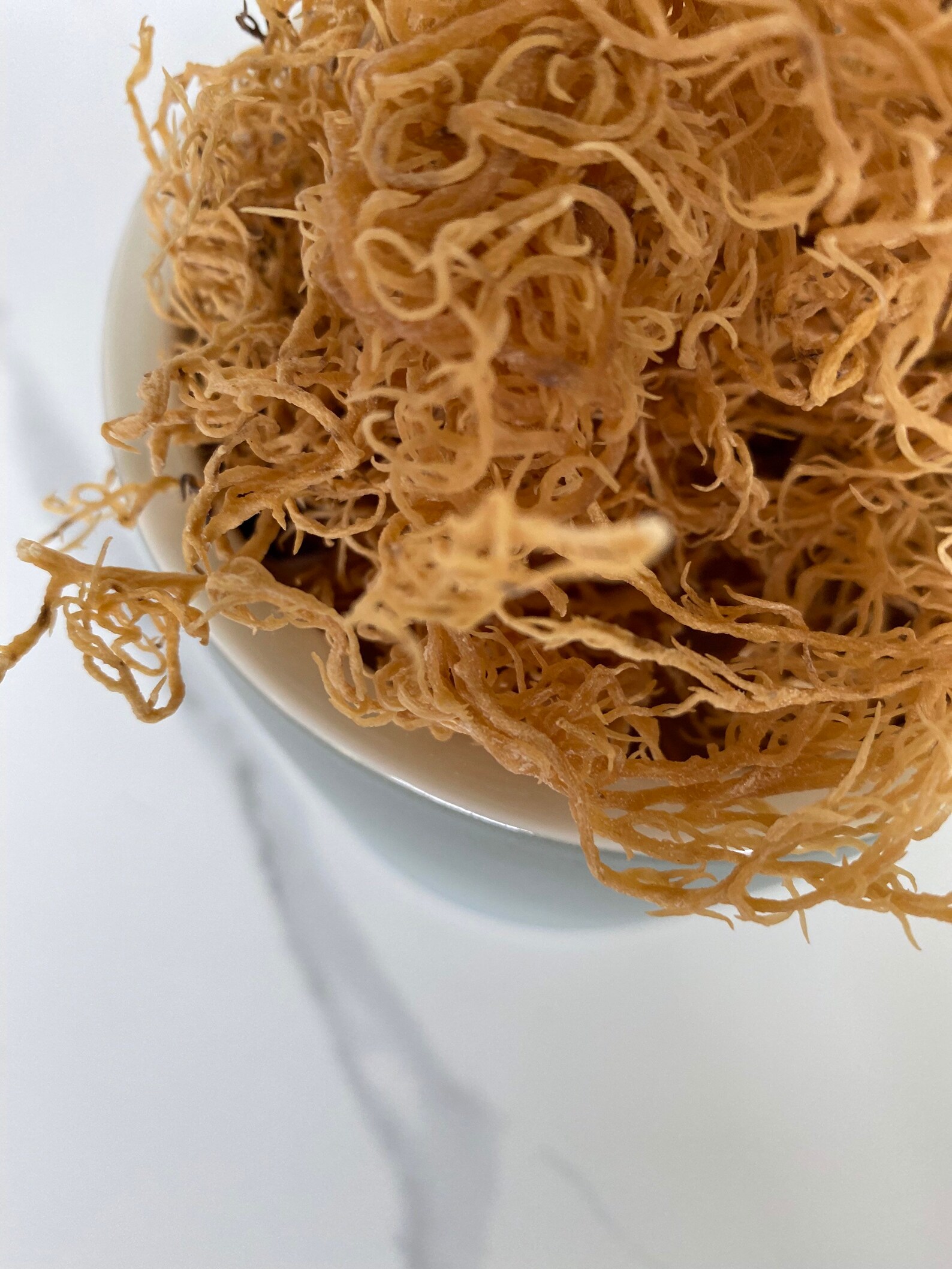 HEALTHY SEA MOSS Natural Sea Moss Real Fresh Sea Moss For Etsy