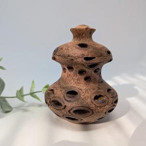 Puede incluir: Un jarrón de cerámica marrón con tapa. El jarrón tiene forma bulbosa con numerosas aberturas circulares. La tapa tiene un pequeño pomo. El jarrón está sobre una superficie blanca con una planta verde en el fondo.