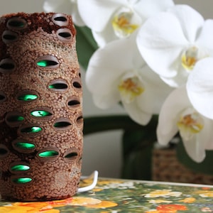 Lamp Light Banksia Pod Wood Lamp Light Banksia Seed Pod Color Changing Plug In LED Night Light Home Decor One of a Kind Gift