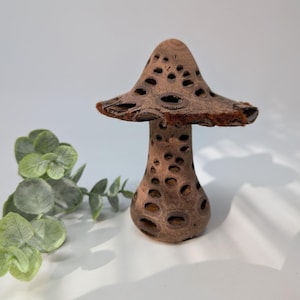 Op de afbeelding: Een decoratieve paddenstoelensculptuur met een getextureerde, poreuze hoed en steel. De paddenstoel is bruin met een fuzzy rand aan de hoed. Groene bladsprietjes staan op de achtergrond. De sculptuur is waarschijnlijk van hout.