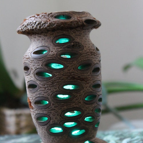 Banksia Pod Wood Turned Lamp Light Unique Gift One Of A Kind newest Home Decor Sculpture 3D Art Night Light LED With Remote