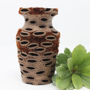 Puede incluir: Un jarrón marrón hecho de un material natural con una textura peluda y un patrón de agujeros. El jarrón está sobre una superficie blanca junto a una planta verde.