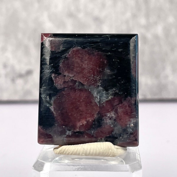 Cabochon of Garnet Arfvedsonite & Astrophyllite, Polished Garnet in Matrix, Rectangle Cabochon, DIY Jewelry Making, Wire Wrapping, 59.75 ct