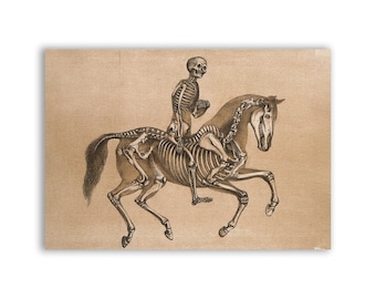 Skeleton Horse Patch