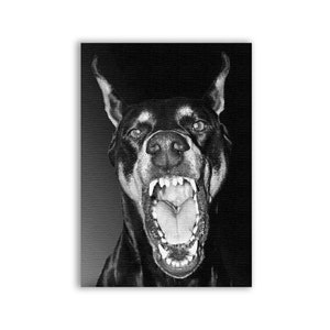 Può includere: Immagine in bianco e nero di un Dobermann Pinscher con la bocca aperta, che mostra i denti. Il pelo del cane è nero e marrone, con un'espressione intensa. Lo sfondo è scuro e strutturato.