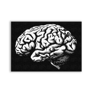 May include: A black and white illustration of a human brain, viewed from the side. The brain is detailed with many folds and convolutions.