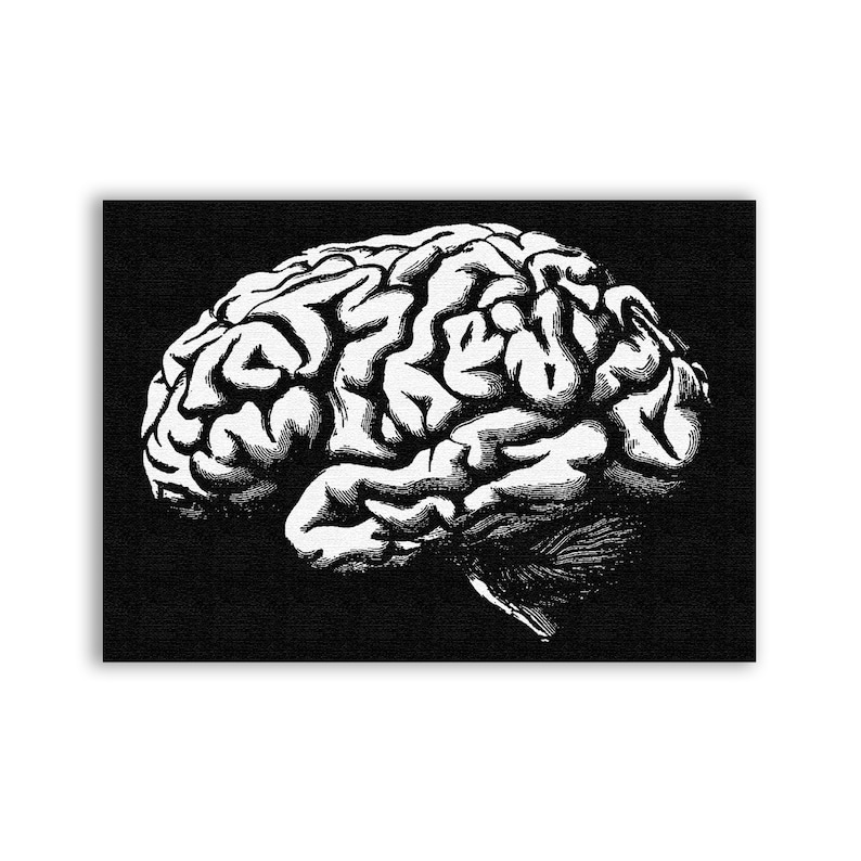 May include: A black and white illustration of a human brain, viewed from the side. The brain is detailed with many folds and convolutions.