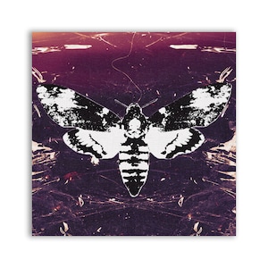 Moth Patch