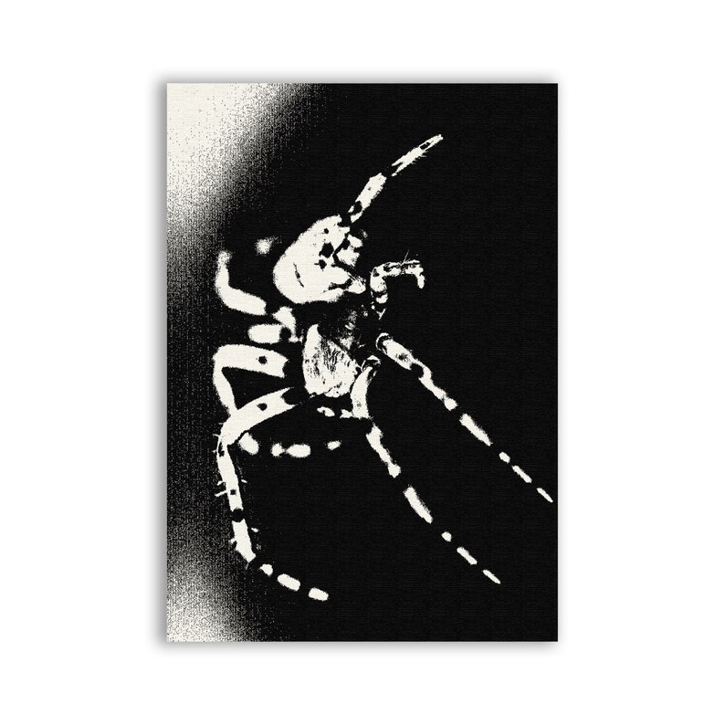 May include: Black and white illustration of a spider with long legs. The spider is in a threatening pose with its front legs raised.